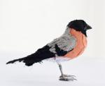 bullfinch_web.jpg