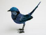 fairy_wren2_web.jpg