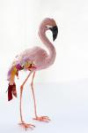 flamingo1_sml.jpg