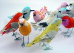 flock_of_colour_birds_b.jpg