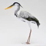 heron_sml.jpg