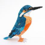 kingfisher_web.jpg