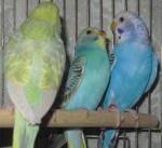 IMG_8701.JPG