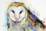 Barn_Owl_Etsy_3__65054.1353874137.1280.1280.jpg