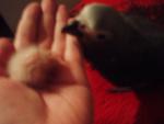 post-14448-1260896550_thumb.jpg