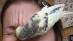 post-14727-1210372568_thumb.jpg