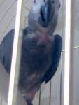 post-14932-1211734345_thumb.jpg