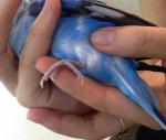 post-15010-1467141397_thumb.jpg