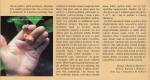 post-15056-1225113247_thumb.jpg
