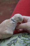 post-15070-1265968401_thumb.jpg