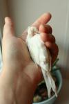 post-15070-1303830413_thumb.jpg