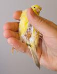 post-15070-1432392645_thumb.jpg