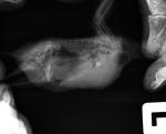 post-15162-1463837951_thumb.jpg