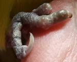 post-15162-1483074362_thumb.jpg