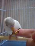 post-15494-1214979147_thumb.jpg