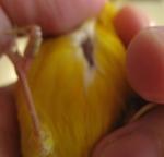 post-15887-1448796791_thumb.jpg