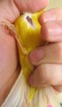 post-15887-1448796804_thumb.jpg