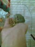post-15906-1220433822_thumb.jpg