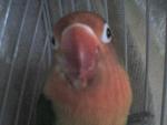 post-15974-1232355685_thumb.jpg