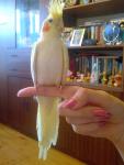 post-16003-1224179942_thumb.jpg