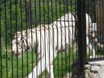 ____________029.jpg