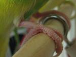 post-16189-1218630389_thumb.jpg