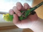 post-16235-1494494649_thumb.jpg