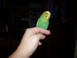 post-16235-1494504502_thumb.jpg