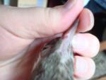 post-16442-1220775434_thumb.jpg
