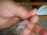 post-16442-1220775491_thumb.jpg