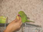 post-16740-1222845600_thumb.jpg