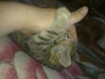 post-17129-1333737713_thumb.jpg