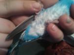 post-17129-1428583631_thumb.jpg