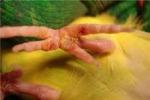 post-17129-1457379346_thumb.jpg
