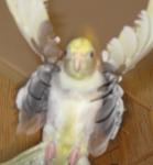 post-17155-1226225634_thumb.jpg