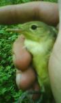post-17234-1326946135_thumb.jpg