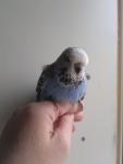 post-17454-1302012197_thumb.jpg