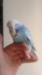 post-17454-1311592770_thumb.jpg