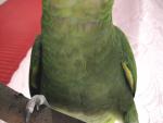 post-17480-1255117512_thumb.jpg
