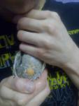 post-17524-1445456199_thumb.jpg