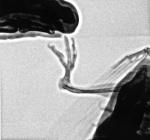 post-17538-1273158320_thumb.jpg