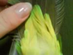 post-17572-1230243177_thumb.jpg