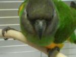 post-17572-1230313436_thumb.jpg