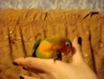 post-17625-1267386283_thumb.jpg