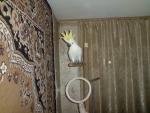 post-17654-1264446174_thumb.jpg