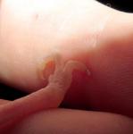 post-17672-1454001147_thumb.jpg