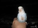 post-17850-1245394328_thumb.jpg