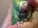 post-18008-1505026345_thumb.jpg