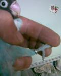 post-18014-1257499842_thumb.jpg