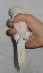 post-18015-1326122597_thumb.jpg